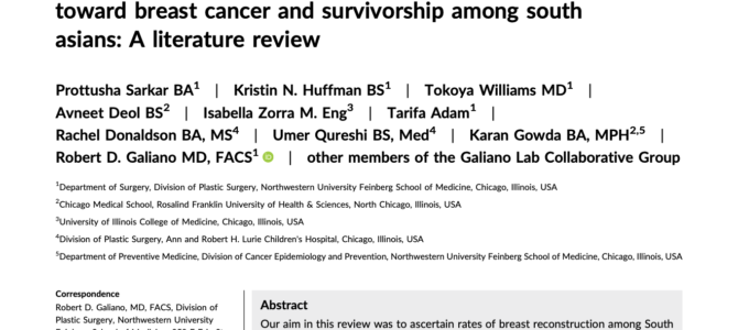Report – Rates of breast reconstruction uptake and attitudes toward breast cancer and survivorship among south asians: A literature review